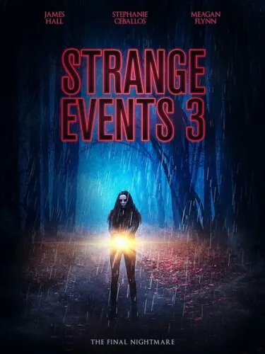 Странные дела 3