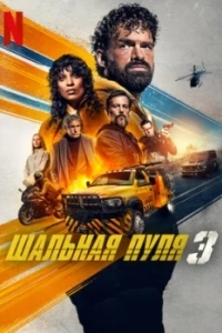 Шальная пуля 3